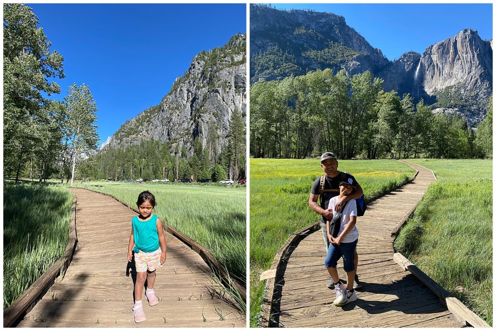 meadow trail Yosemite
