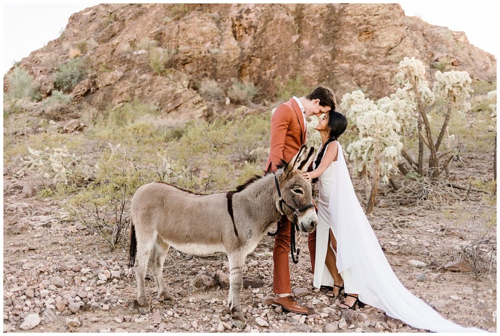 wedding couple with wedding burro