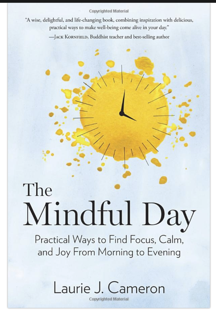 the mindful day book